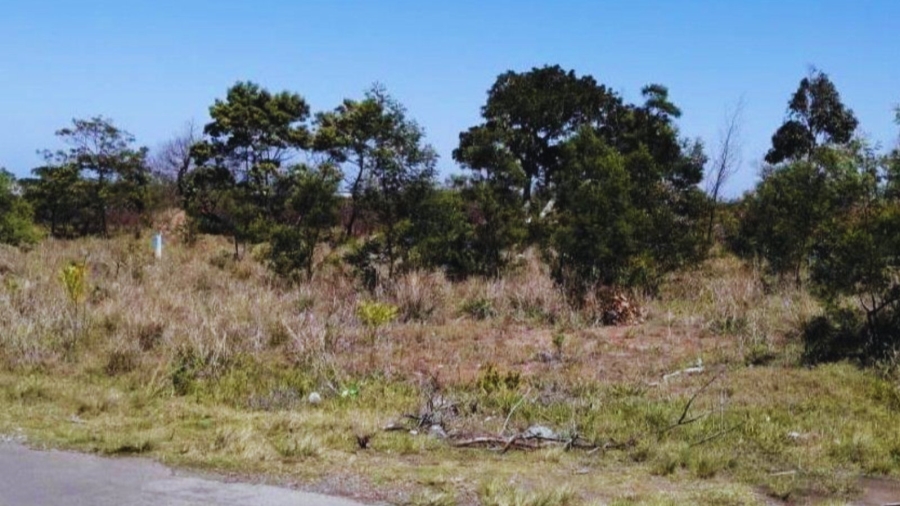 Commercial Property for Sale in Cove Rock Eastern Cape